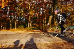 Cycling male, autumn trees on the background.
