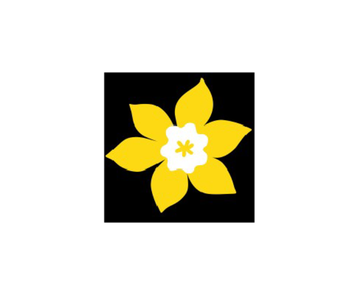 logo canadian cancer society